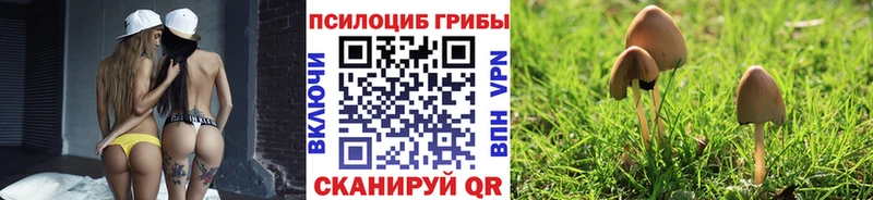 Купить закладки  Игра  Псилоцибиновые грибы мицелий 
